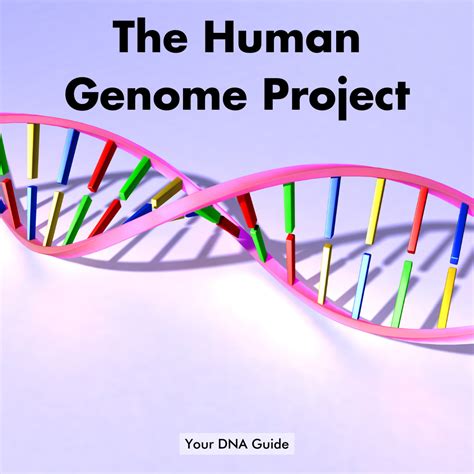 human genome project results pdf|The Human Genome Project .